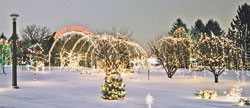 Archdiocesan pilgrims will travel to the National Shrine of Our Lady of the Snows in Belleville, Ill., and view the Way of Lights, an impressive outdoor display of more than 1 million lights depicting the birth of Christ. (Photo courtesy of the National Shrine of Our Lady of the Snows) 